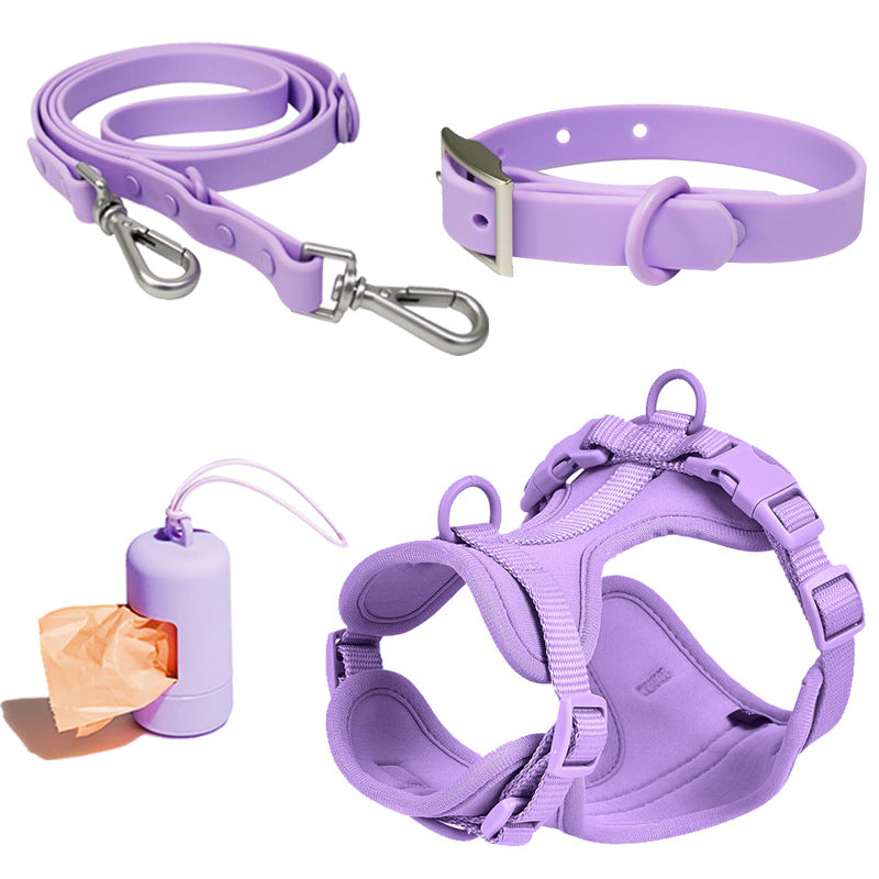 Leash, Collar & Harness