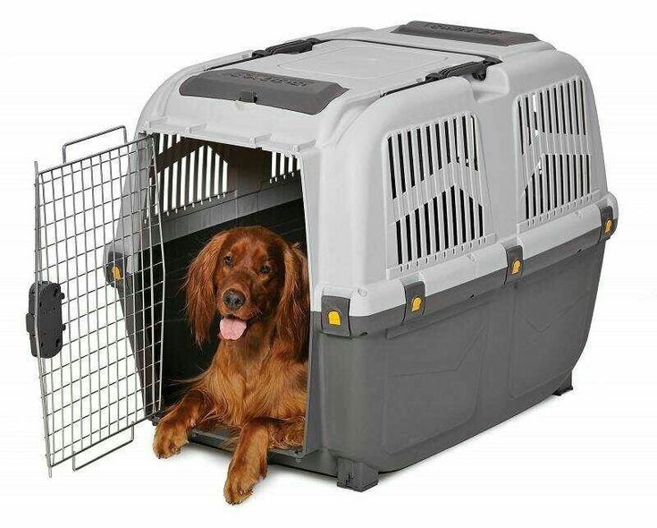 Crates and Beds