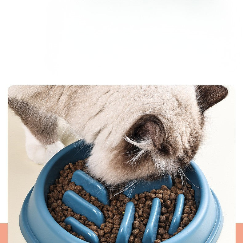 Set of 4 Bowls Dog & Cat Slow Feeder Bowl – Anti-Choking Design for Healthy Eating