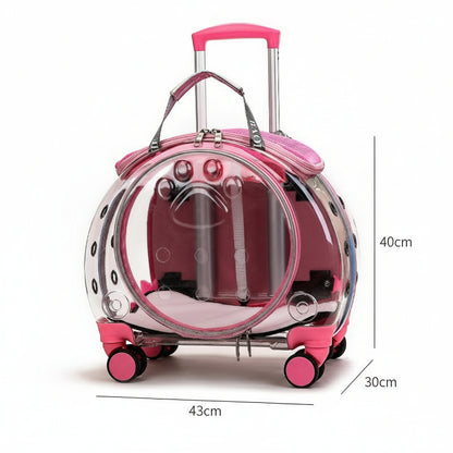 Small Pet Trolley Box – Transparent Breathable Cat & Dog Backpack Outing Carrier