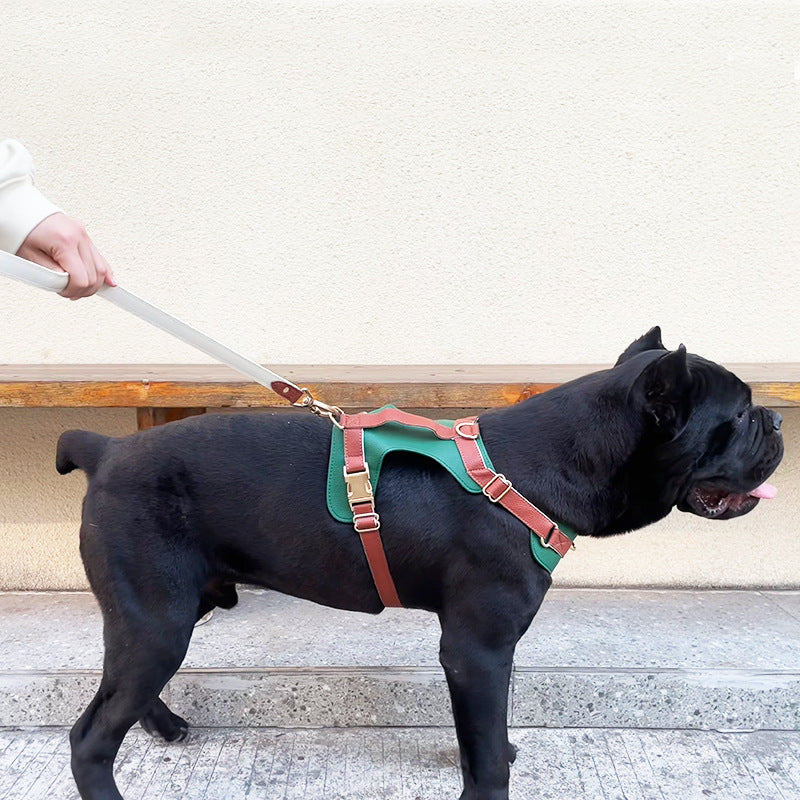 Original High-End Luxury Leather Dog Harness Set – Premium Collar & Leash for Cross-Border Pet
