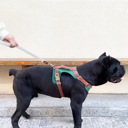 Original High-End Luxury Leather Dog Harness Set – Premium Collar & Leash for Cross-Border Pet