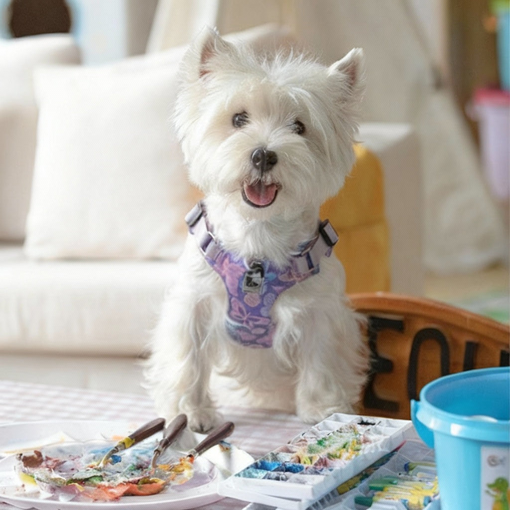 Dog Traction Rope with Vest Harness – Explosion-Proof Chest & Back Strap for Small and Medium Dogs