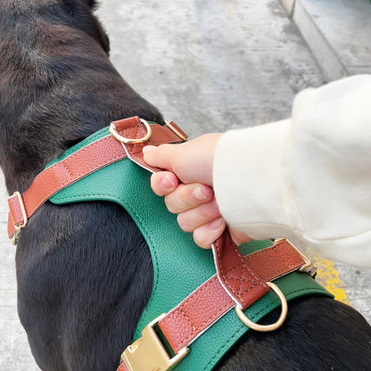 Original High-End Luxury Leather Dog Harness Set – Premium Collar & Leash for Cross-Border Pet