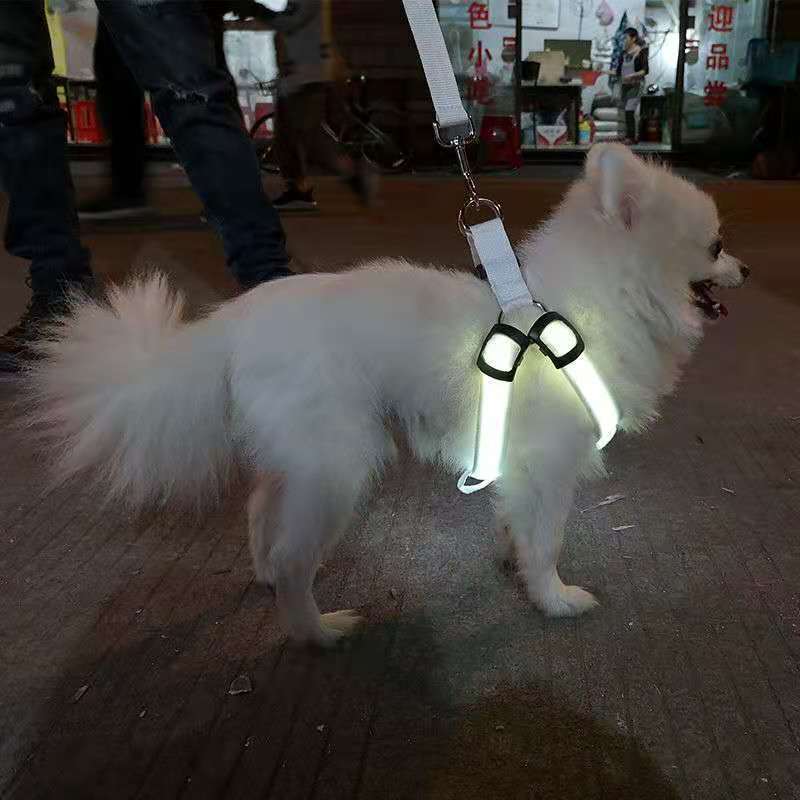 LED Luminous Dog Harness – Rechargeable Light-Up Chest Strap for Medium & Large Dogs | Night Safety Pet Harness
