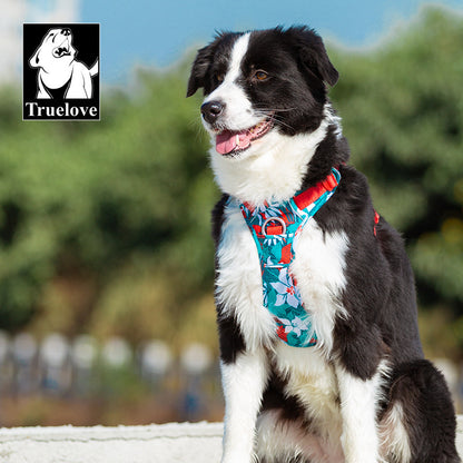 Dog Leash & Harness Set – Vest Style for Small, Medium & Large Dogs