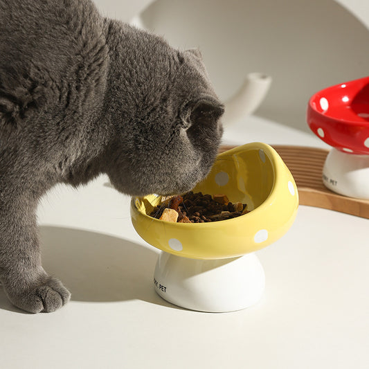 Ceramic Cat Food Bowl