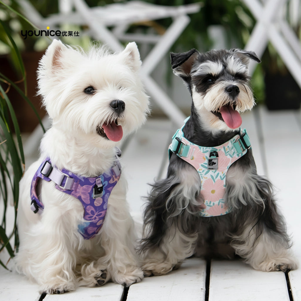 Dog Traction Rope with Vest Harness – Explosion-Proof Chest & Back Strap for Small and Medium Dogs