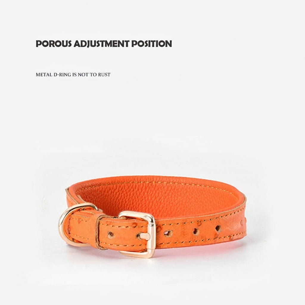 Genuine Leather Dog Collar Set – Heavy-Duty Neck Protector & Leash