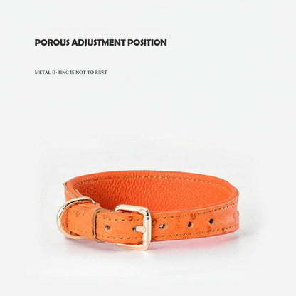 Genuine Leather Dog Collar Set – Heavy-Duty Neck Protector & Leash