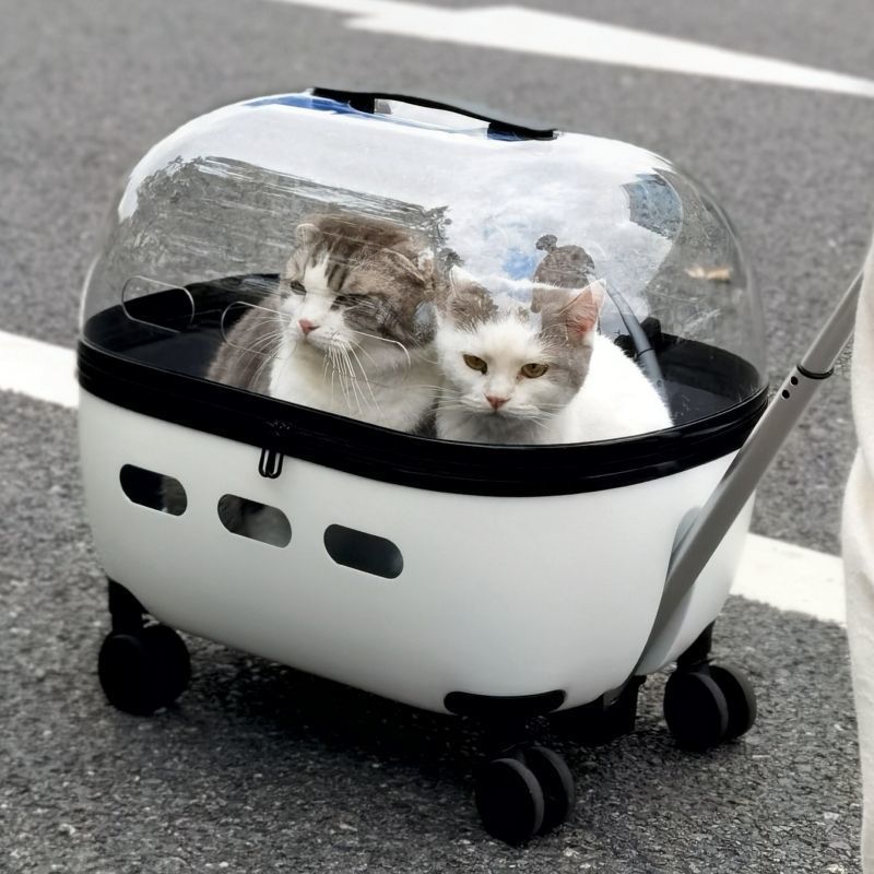 Portable Pet Trolley Box – Two-Transparent Cat & Dog Travel Bag Suitcase Backpack