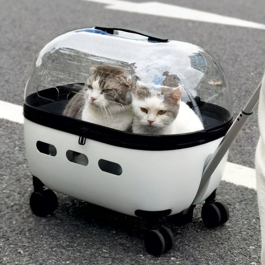 Portable Pet Trolley Box – Two-Transparent Cat & Dog Travel Bag Suitcase Backpack