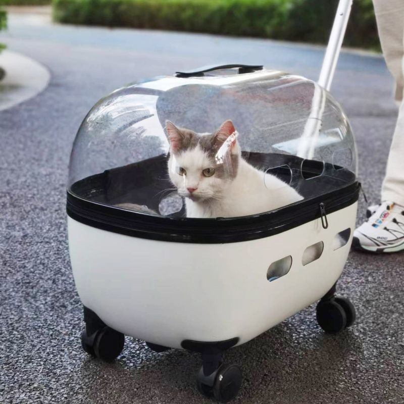 Portable Pet Trolley Box – Two-Transparent Cat & Dog Travel Bag Suitcase Backpack