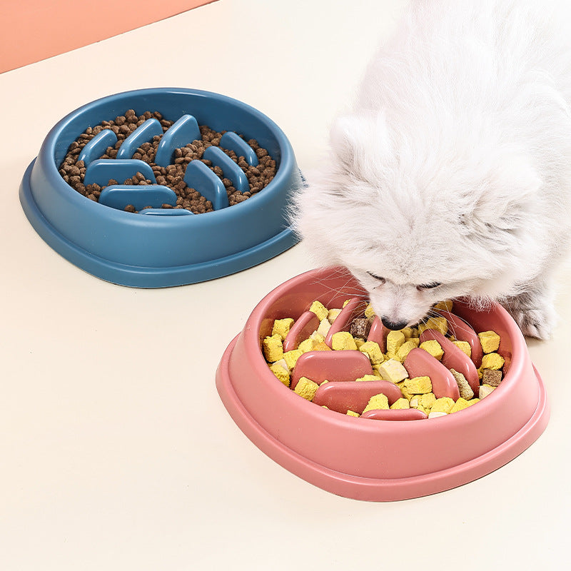 Set of 4 Bowls Dog & Cat Slow Feeder Bowl – Anti-Choking Design for Healthy Eating
