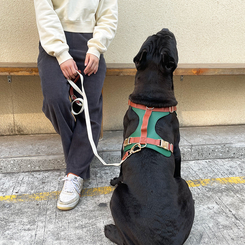 Original High-End Luxury Leather Dog Harness Set – Premium Collar & Leash for Cross-Border Pet