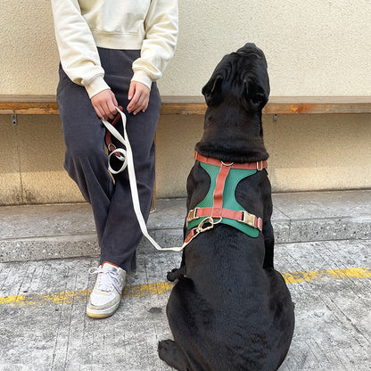 Original High-End Luxury Leather Dog Harness Set – Premium Collar & Leash for Cross-Border Pet