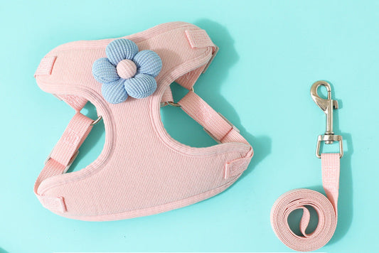 Puppy Comfort Harness & Leash Set – Soft Adjustable Vest for Teddy, Bichon, Pomeranian & Small Dogs