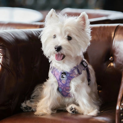 Dog Traction Rope with Vest Harness – Explosion-Proof Chest & Back Strap for Small and Medium Dogs