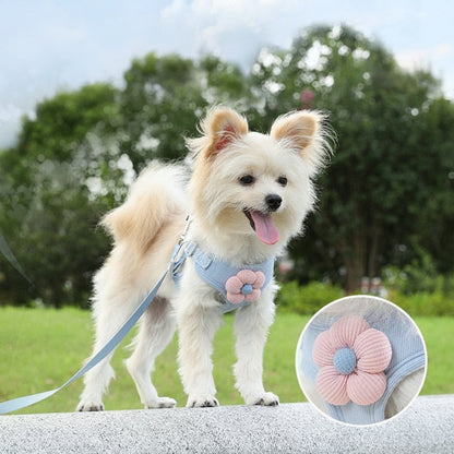 Puppy Comfort Harness & Leash Set – Soft Adjustable Vest for Teddy, Bichon, Pomeranian & Small Dogs