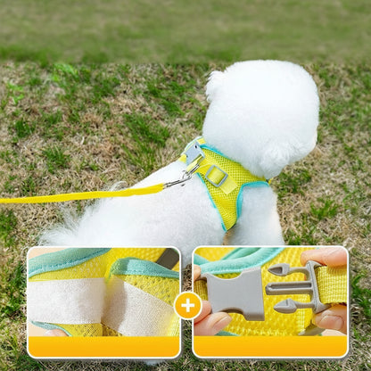 Cartoon 3D Big-Eyes Harness & Leash Set – Cute Summer Traction Rope for Small Dogs & Cats