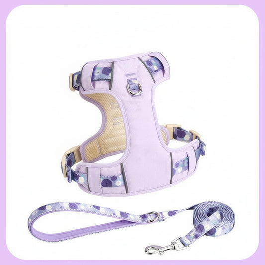 Adjustable Pet Dog Vest Harness with Traction Rope – Explosion-Proof, Anti-Break, No-Pull Walking Strap
