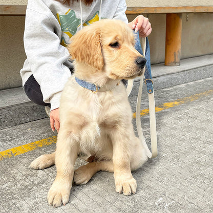 High-End Genuine Leather Dog Collar & Leash Set – Explosion-Proof, Durable for Large, Medium & Small Dogs