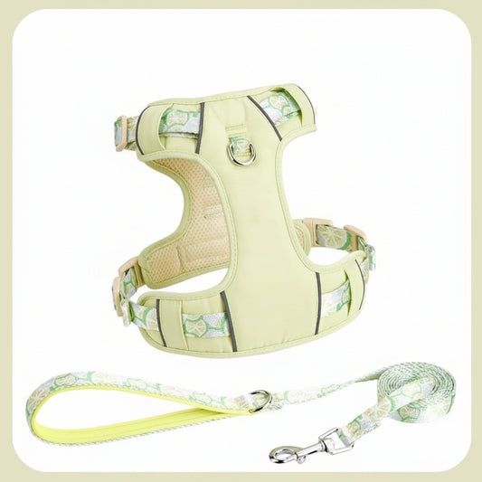 Adjustable Pet Dog Vest Harness with Traction Rope – Explosion-Proof, Anti-Break, No-Pull Walking Strap