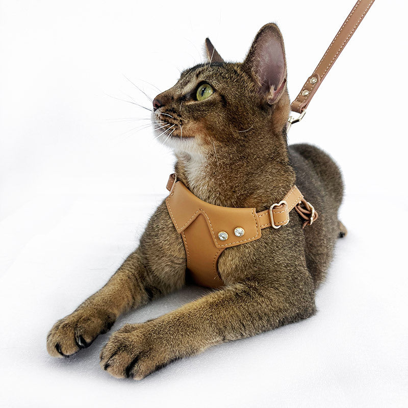 Original Leather Pet Harness, Leash & Collar Set – Premium Cross-Border Design for Small to Medium Dogs & Cats