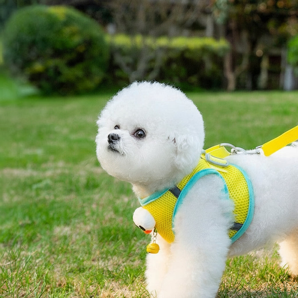 Cartoon 3D Big-Eyes Harness & Leash Set – Cute Summer Traction Rope for Small Dogs & Cats